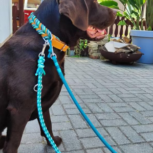 Collar de Perro Personalizable de Lujo Hecho a Mano con Hebilla de Metal Resistente, Longitud Ajustable, Trenzado Suave de Paracord y Cuero, Elegante - Product Image 4