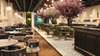 Ensemble de Mobilier de Restaurant Moderne de Haute Qualité, Canapé Banquette en Velours, Table et Chaises pour Restaurants et Bars en Bois