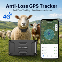 Traceur GPS pour bétail, résistant aux vibrations, autonomie de 1 an, géolocalisation et gestion des troupeaux, traceur de bétail