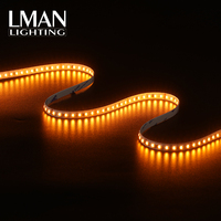 Bande lumineuse LED flexible de haute qualité Epistar 120LEDs/M DC24V 10mm SMD4040 avec télécommande CRI>93 IP65 Dimmable Garantie 3 ans