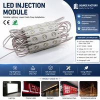 Modules LED DC12V pour lettres encastrées CE/RoHS Garantie 5 ans IP68 2835 3 puces Haute luminosité Blanc chaud Bleu 3000-18000K 170 3 lentilles