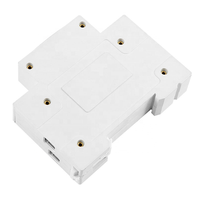 Disjoncteur intelligent TUYA Zigbee3.0 MCB 1P+N 63A sur rail DIN, automatisation de la maison intelligente, interrupteur à commande à distance sans fil CE/CB/FCC