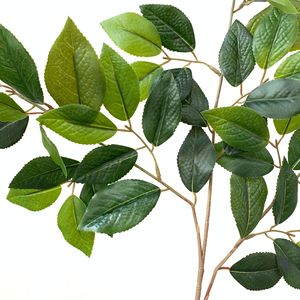 2021 Chất Lượng Cao Bất Cảm Ứng Giả Latex Trà Lá Trang Trí Sân Vườn Nhựa Cảnh Quan Cây - Product Image 6