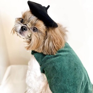 Cappello in Lana di Alta Qualità per Animali Domestici, Accessorio Decorativo per Cani, Mini Berretto per Foto - Product Image 5