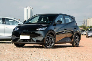 2025 BYD Pure Electric Seagull Smart Driving 405KM Flying Edition <span class=keywords><strong>4</strong></span> Seat Hatchback New Energy Car Sin preocupaciones Postventa - Product Image 5