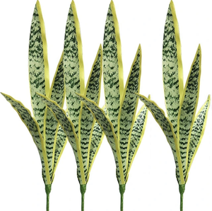 Linternas rtificales, ansevieria - Product Image 1