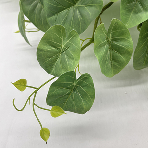 Plante Artificielle Petite Plante Bonsaï Feuilles d'<span class=keywords><strong>Arum</strong></span> Aquatique Feuilles de Pothos Artificielles Feuilles de Vigne Artificielles Décoration d'Hôtel Feuilles de Patate Douce - Product Image 5