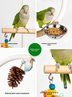Perchoir pour oiseaux en arc incurvé, construction en bois empilé et métal, sur pied, grandes branches interactives, accessoire universel pour oiseaux