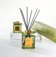 Diffuseur à bâtonnets en verre sans alcool 100 ml – Ensemble écologique pour parfum d'intérieur, huile essentielle, décoration maison, désodorisant – OEM ODM Marque Privée