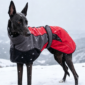 Vêtements pour chiens Iggy Hunde Zubehor Accesorio Para Mascota Snoody Fleece Sighthound, manteau d'hiver pour lévrier italien, whippet, vêtements pour chiens - Product Image 5