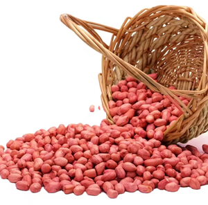 Cacahuetes Chinos a Granel Sin Cáscara 100% Naturales Crudos <span class=keywords><strong>con</strong></span> Piel Roja Precio Orgánico para Cocinar - Product Image 2