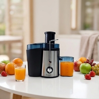 Extracteur de Jus Électrique Professionnel Commercial Personnalisable Multifonctionnel pour Usine – Machine à Jus de Fruits