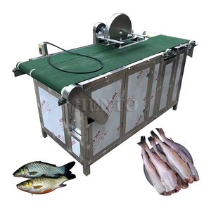 Máquina de Alta Eficiencia para Remover Cabezas de Anchoas / Cortadora de Colas de Pescado / Máquina para Cortar Cabezas de Pescado para Sardinas - Product Image 5