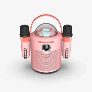 Wholesale Children Love Tws Karaoke Bluetooth Party Speakers With Light For Family Party