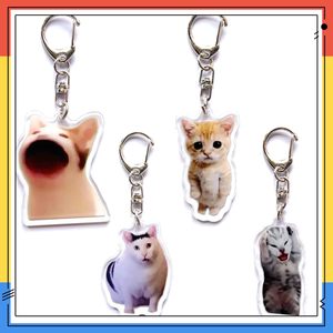 Tùy Chỉnh <span class=keywords><strong>Kawaii</strong></span> Mèo Acrylic Keychain Phim Hoạt Hình Phim Hoạt Hình Mèo Theo Chủ Đề Quyến Rũ Móc Khóa Vui Meme Móc Chìa Khóa Chuỗi Nhựa Chìa Khóa - Product Image 4