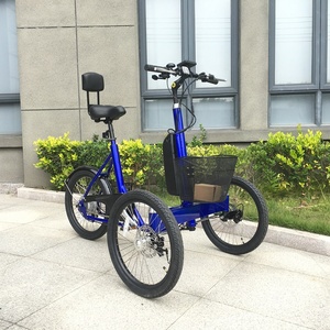 Bicicletta Elettrica da Carico a Tre Ruote con Carico Frontale e Cestino Anteriore - Product Image 1