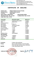 Extrait de champignon Maitake d'approvisionnement d'usine Grifola Frondosa Mycelia Polysaccharide 10%-50% Poudre d'extrait de champignon Maitake