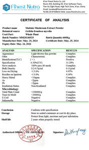 Extrait de champignon Maitake d'approvisionnement d'usine Grifola Frondosa <span class=keywords><strong>Mycelia</strong></span> Polysaccharide 10%-50% Poudre d'extrait de champignon Maitake - Product Image 5