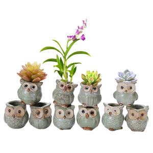 Amzaon Offre Spéciale petit Pot de fleur succulente hibou en céramique, Pot de plante de Cactus bon marché, Pot de bonsaï - Product Image 1