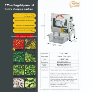 Coupe-légumes automatique électrique, trancheuse à concombre, râpe à pommes <span class=keywords><strong>de</strong></span> terre, hachoir à aliments <span class=keywords><strong>en</strong></span> <span class=keywords><strong>ligne</strong></span> - Product Image 5