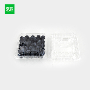 125g/185g/250g arándano frambuesa transparente desechable PET Clamshell contenedor plástico frutas <span class=keywords><strong>cajas</strong></span> de embalaje - Product Image 5