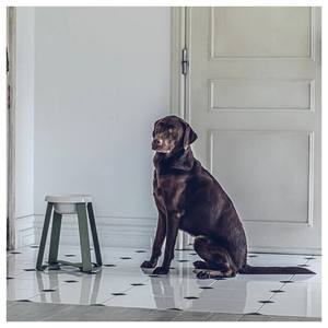 Adjustable Raised <b>Stand</b> Feeder Large Ceramic <b>Bowl</b> Eco-Friendly Durable Portable Elevated Feeding for Dogs <b>Cats</b> Comfort - Product Image 1