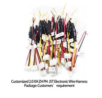Connettore Mini-Fit PH XH ZH SH Cablaggio Elettronico Personalizzato per Settore Industriale e Automobilistico