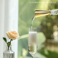 Mini verseuse de Champagne en plastique galvanisé, livraison gratuite, cadeau 2017, fouet pour le vin