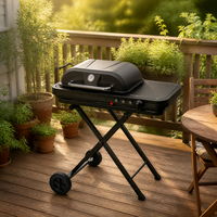 Barbecue portable au gaz butane, double grille pliante en alliage d'aluminium, plaque antiadhésive, thermomètre intégré, pour camping en plein air, 6-8 personnes