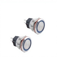Interrupteur à bouton-poussoir momentané LED 22 mm 24 V 220 V électronique 1NO en acier inoxydable IP67/IP65 étanche pour contrôle industriel