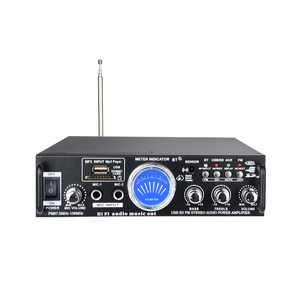   Mini Amplificador de <span class=keywords><strong>Audio</strong></span>, Pantalla Digital, Doble Voltaje, USB, FM, Indicador de Nivel, Compatible con OEM, 2 Canales, para Hogar, Auto, Fábrica, Venta al Por Mayor - Product Image 1