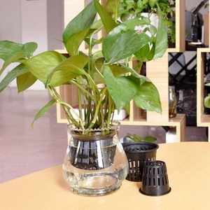 Tazas de maceta de red de malla de plantación hidropónica más populares, cesta de plástico para jardín, vivero, germinación, taza de cultivo de plantas - Product Image 2