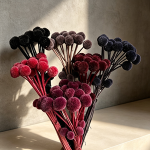 Fleurs séchées Billy Button, Craspedia boule dorée préservée pour arrangements <span class=keywords><strong>de</strong></span> fleurs séchées - Product Image 1