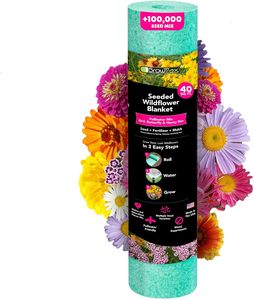 Growtrax Pollinator 40 pieds carrés Fournitures <span class=keywords><strong>de</strong></span> jardin Mélange <span class=keywords><strong>de</strong></span> fleurs sauvages modernes Tournesol <span class=keywords><strong>Zinnia</strong></span> Plante facile pour attirer les abeilles - Product Image 1