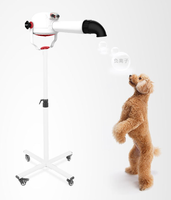 Séchoir à peluches en plastique moderne pour petits animaux et animaux de compagnie pour outils de toilettage pour chiens et chats