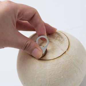 Noix de coco jeune fraîche et tendre de qualité supérieure en provenance du Vietnam - Eau riche et sucrée, pulpe comestible douce - Approvisionnement en vrac pour l'exportation - Product Image 1