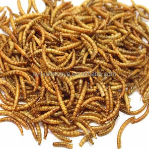 खरगोश स्नैक के लिए सूखे पीले मेल्वर्म भोजन थोक - Product Image 4