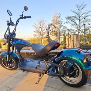 Scooter Eléctrico EU Warehouse Zero 10X/T10-DDM con Potente Motor de 250W y Gran Autonomía Citycoco - Product Image 4