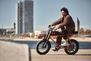 Newspeed Rayvolt Vintage E-Bike Ringo Vélo électrique 20 pouces Argent 48V Batterie au lithium Vélo électrique à vitesse unique - Product Image 6