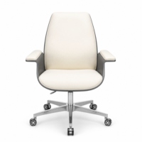 Siège de bureau élégant, écologique, minimaliste et réglable en hauteur |   Chaise de bureau pivotante ergonomique pour la maison, le bureau et le salon