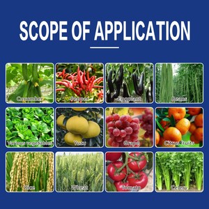 Nồng độ cao nhanh chóng phát hành ngay lập tức canxi phân bón phân loại nhà máy giá bán buôn - Product Image 3