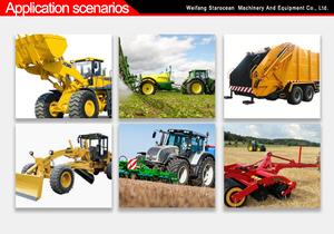 Nouveau vérin hydraulique à double effet agricole (acier inoxydable) pour excavatrice, camion, tracteur, remorque, grue, cric - Product Image 6