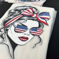 Stampa DTF Personalizzata per T-Shirt, Design Termoadesivi su Foglio Pronti per la Stampa a Caldo, Servizi di Stampa per T-Shirt e Packaging
