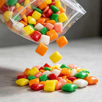 Chewing-gum sans sucre à la menthe 48g – Boîte portable pour bonbons et friandises