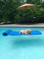 Flotteur de piscine NBR, hamac aquatique pour adultes et enfants, radeau de natation portable, support d'appui-tête, canapé aquatique, chaise, Chine