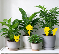 Piège à mouches collant jaune personnalisé en forme de dessin animé, attrape-insectes à colle double face pour plantes en pot, jardin, 10 pièces