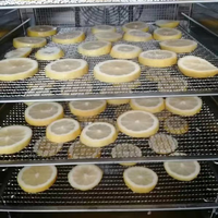 Heetverkopende commerciële multifunctionele fruit- en groentedroger / grote capaciteit vleesdroogapparatuur