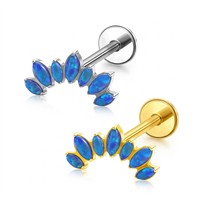 Labrets et Piercings de Cartilage d'Oreille en Titane Poli Miroir, Zircon et Plaqué Or 24K, Hypoallergéniques, Cadeau de Mariage, Bijoux Corporels