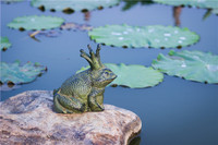 Artisanat métallique de haute qualité, style européen, grenouille du roi en fonte, décoration de jardin et de cour, ornements pour la maison, vente en gros