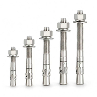 Boulon en acier inoxydable de grande taille, cheville d'expansion murale pour fixation de fondations lourdes en construction